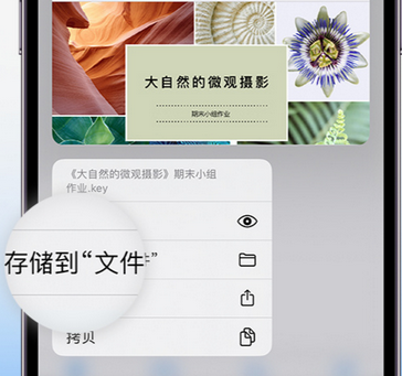 泉港apple维修中心分享iPhone文件应用中存储和找到下载文件