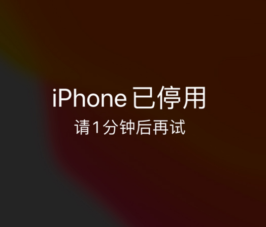 泉港苹果手机维修分享:iPhone 显示“不可用”或“已停用”怎么办？还能保留数据吗？ 