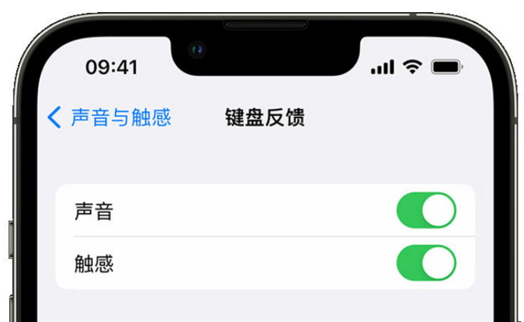 泉港苹果手机维修分享iPhone 14触感键盘使用方法 