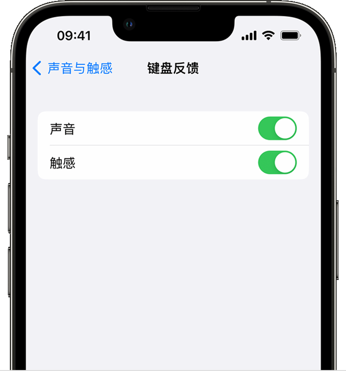 泉港苹果14维修店分享如何在 iPhone 14 机型中使用触感键盘 