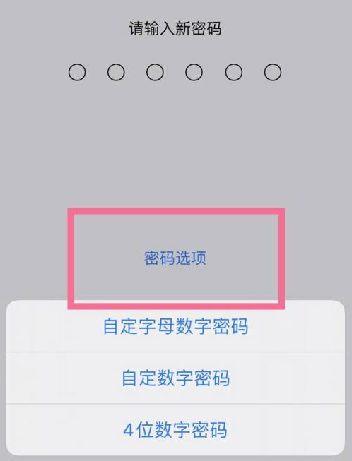 泉港苹果14维修分享iPhone 14plus设置密码的方法 