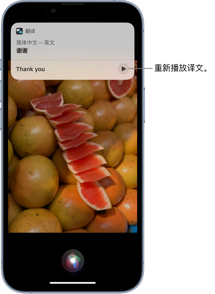 泉港苹果14维修分享 iPhone 14 机型中使用 Siri：了解 Siri 能帮你做什么 