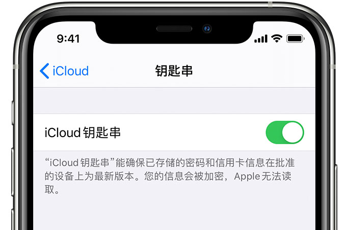 泉港苹果手机维修分享在 iPhone 上开启 iCloud 钥匙串之后会储存哪些信息 