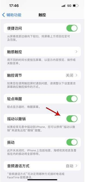 泉港苹果手机维修分享iPhone手机如何设置摇一摇删除文字 